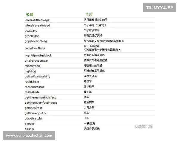 《侠盗飞车秘籍实用技巧揭秘 提升游戏体验的五大必备技巧》