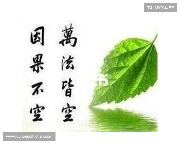 心痛是因果报应的开始 深陷苦果的三大原因解析 心痛是因果报应的开始 深陷苦果的三大原因解析